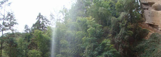 ����ͼƬ��