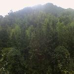 �����ֳ�