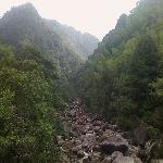 �����ֳ�