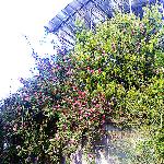 �����ֳ�