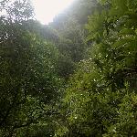 �����ֳ�